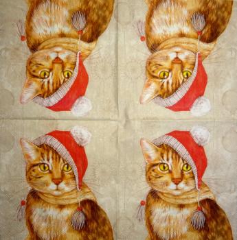 KAT-946 Cats - 3-ply - Ihr - CS